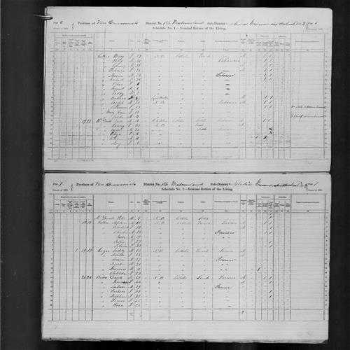 Digitized page of Census of Canada, 1871, Page number 7, for Taddy Leger