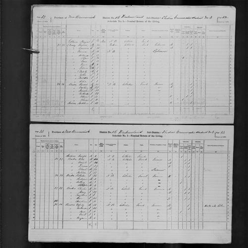 Digitized page of Census of Canada, 1871, Page number 33, for Nathalie Budro