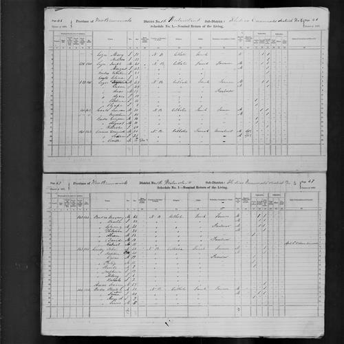 Digitized page of Census of Canada, 1871, Page number 46, for Simeon Gould