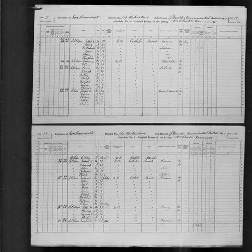 Digitized page of Census of Canada, 1871, Page number 13, for Ferdenand Le Blanc