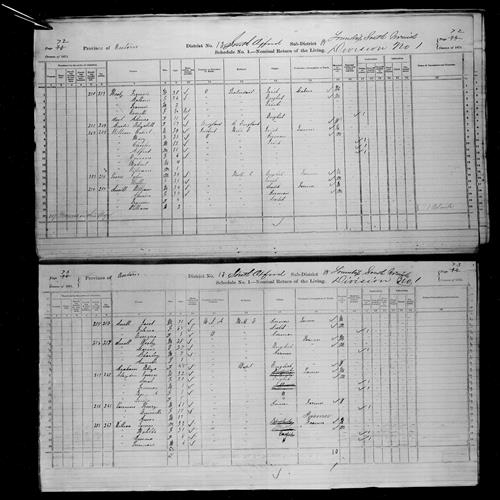 Digitized page of Census of Canada, 1871, Page number 73, for Emma Snell