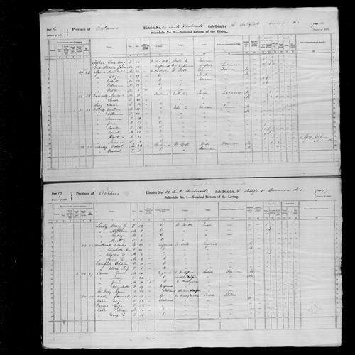 Digitized page of Census of Canada, 1871, Page number 16, for Jonathan Pottruff