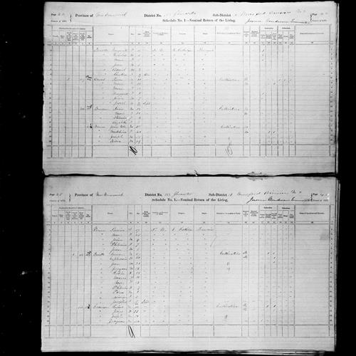 Digitized page of Census of Canada, 1871, Page number 44, for Jean B Vienno