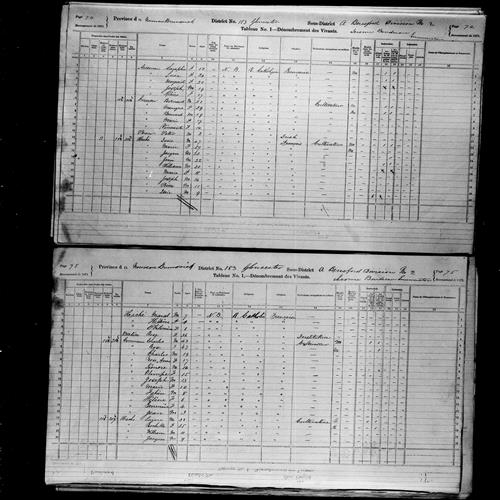 Digitized page of Census of Canada, 1871, Page number 74, for Isaic Haché