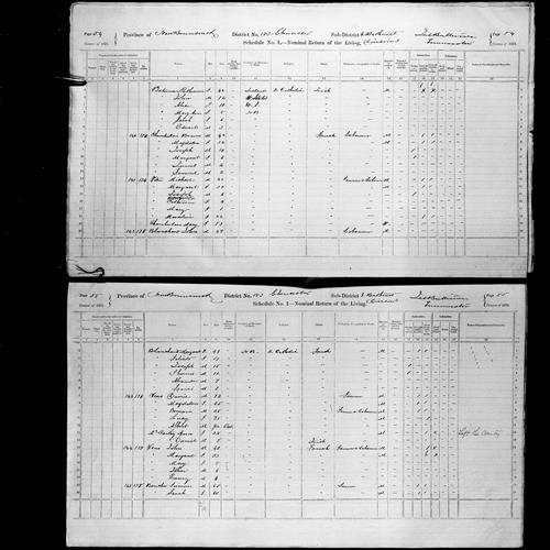 Digitized page of Census of Canada, 1871, Page number 55, for David Veno