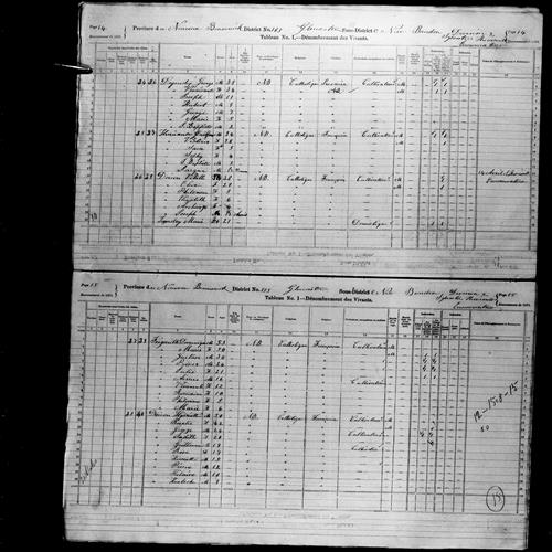 Digitized page of Census of Canada, 1871, Page number 15, for Hyacinthe Doiron