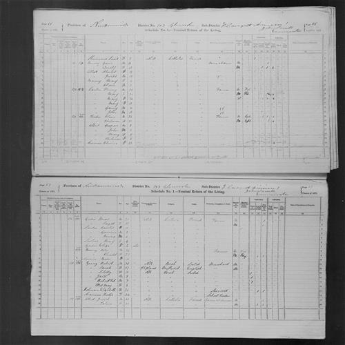 Digitized page of Census of Canada, 1871, Page number 68, for Honary Lanten