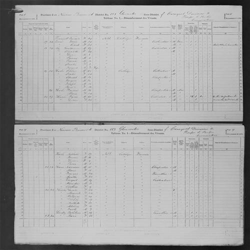Digitized page of Census of Canada, 1871, Page number 8, for Giullaume Roy
