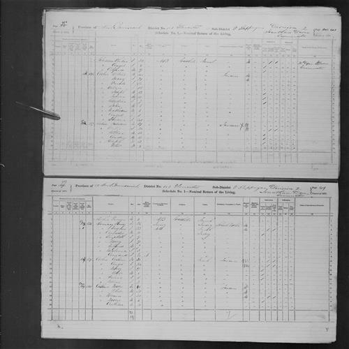 Digitized page of Census of Canada, 1871, Page number 48, for Octare Ashie