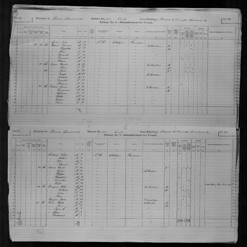 Digitized page of Census of Canada, 1871, Page number 34, for Francois Goguin