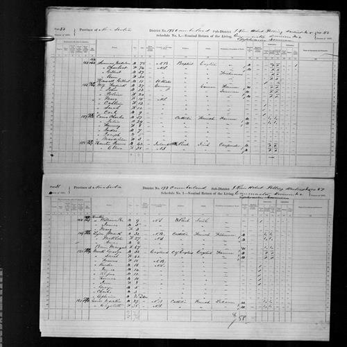Digitized page of Census of Canada, 1871, Page number 51, for Mark Lejere