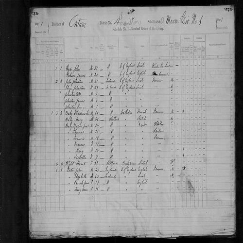 Digitized page of Census of Canada, 1871, Page number 1, for James Johnston