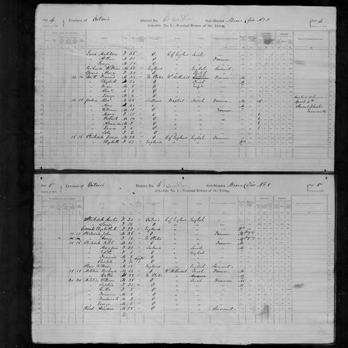 Digitized page of Census of Canada, 1871, Page number 5, for Francis Stockdale