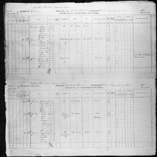 Digitized page of Census of Canada, 1871, Page number 76, for Mary Disney