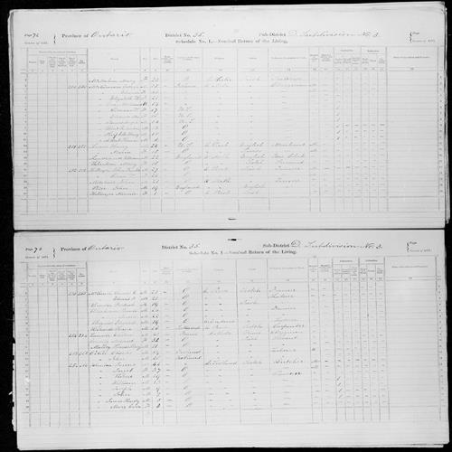 Digitized page of Census of Canada, 1871, Page number 73, for James Hardy Johnston
