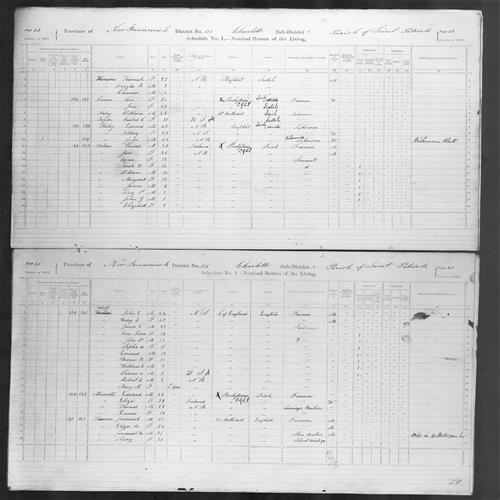 Digitized page of Census of Canada, 1871, Page number 41, for John E Holt
