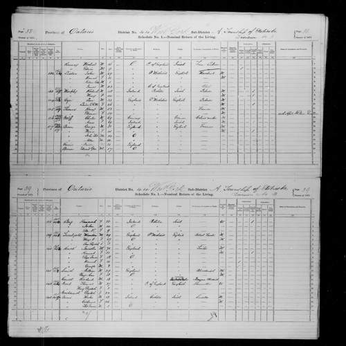 Digitized page of Census of Canada, 1871, Page number 38, for Michael Ramsay