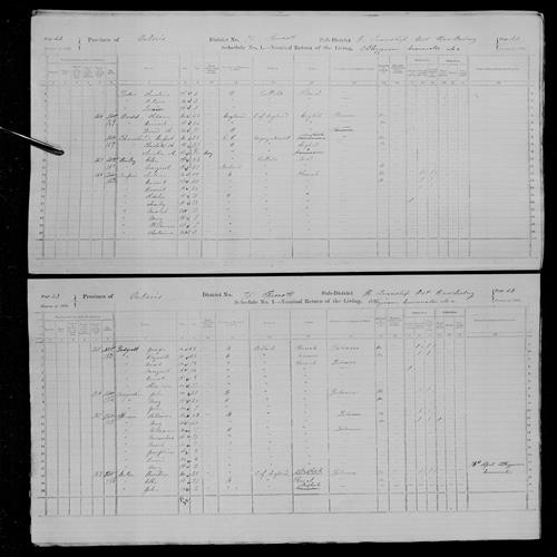 Digitized page of Census of Canada, 1871, Page number 42, for Hannah Dodd