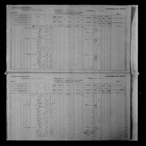 Digitized page of Census of Canada, 1881, Page number 12, for Elie CHIASSON