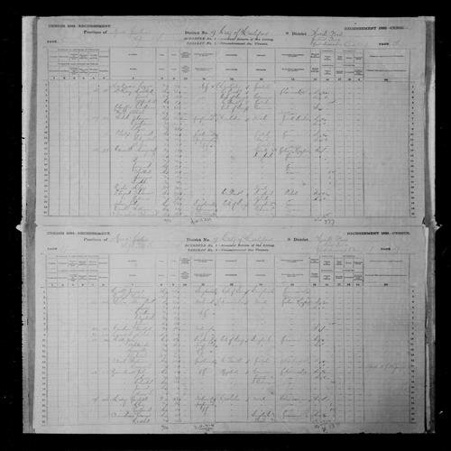 Digitized page of Census of Canada, 1881, Page number 18, for William CASLO