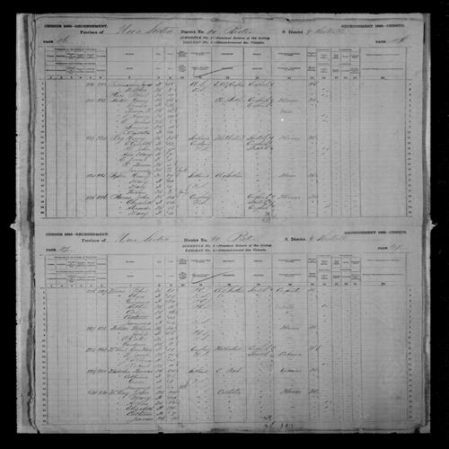 Digitized page of Census of Canada, 1881, Page number 46, for T Henry BAKER