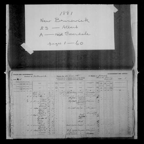 Digitized page of Census of Canada, 1881, Page number 1, for Ralph E. MITTON