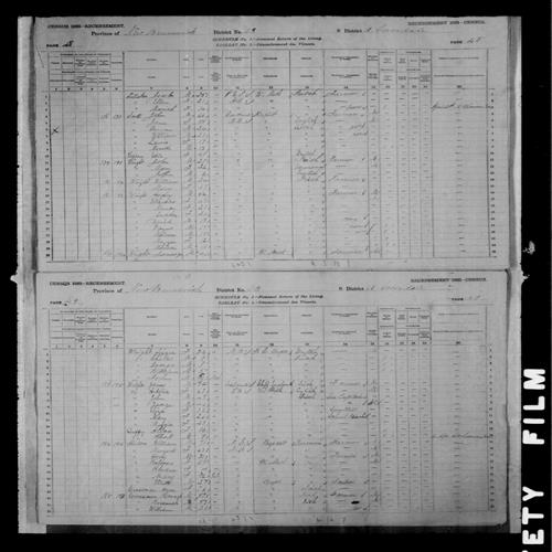 Digitized page of Census of Canada, 1881, Page number 49, for Margaret BALSOR
