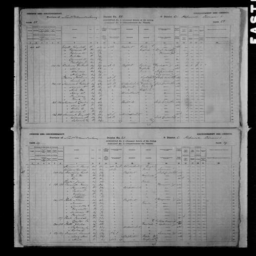 Digitized page of Census of Canada, 1881, Page number 29, for Richard BENNETT