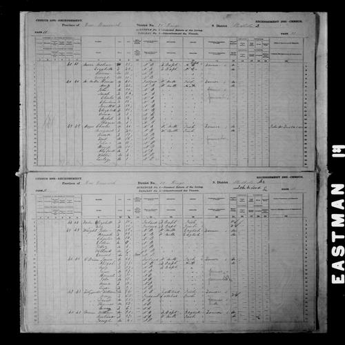 Digitized page of Census of Canada, 1881, Page number 10, for Lizabeth MASIN
