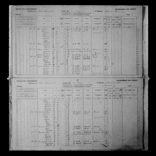 Digitized page of Census of Canada, 1881, Page number 13, for Rebecca FARLEE