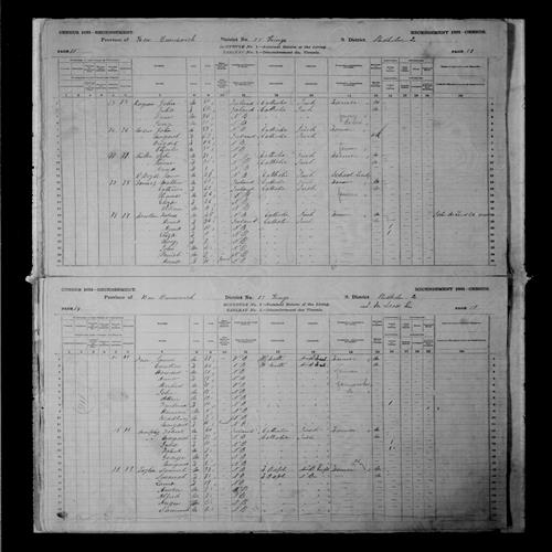 Digitized page of Census of Canada, 1881, Page number 18, for Jerry LOGAN