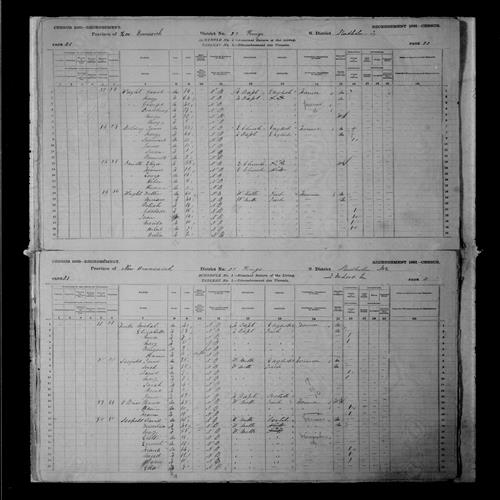 Digitized page of Census of Canada, 1881, Page number 20, for Mary BALDING