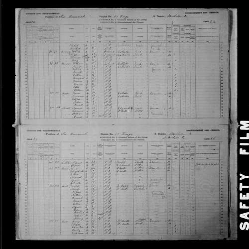 Digitized page of Census of Canada, 1881, Page number 24, for Thomas MCKINNEY