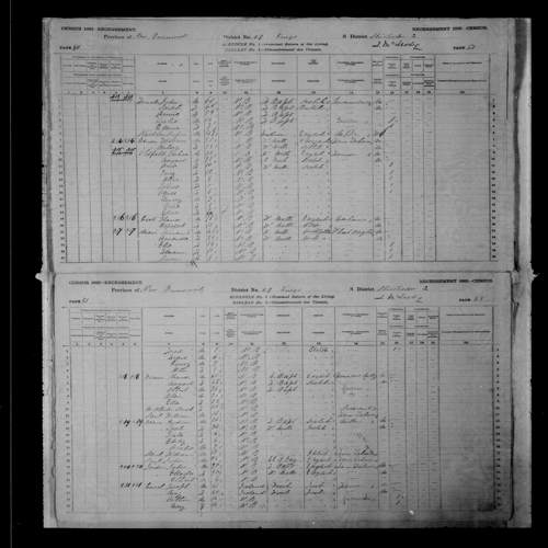 Digitized page of Census of Canada, 1881, Page number 51, for C...ey MAN