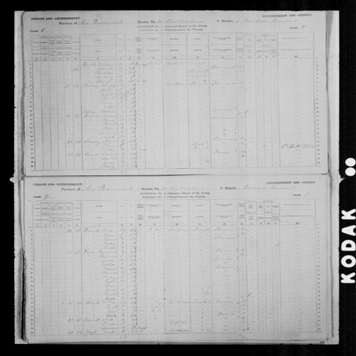Digitized page of Census of Canada, 1881, Page number 9, for Maximin VENO
