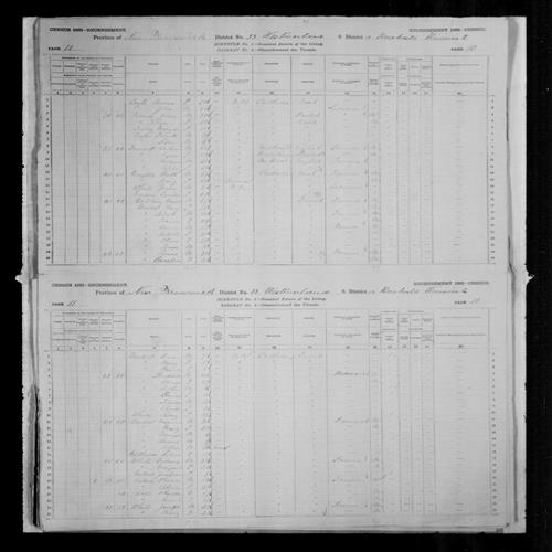 Digitized page of Census of Canada, 1881, Page number 10, for Budent BELLONY