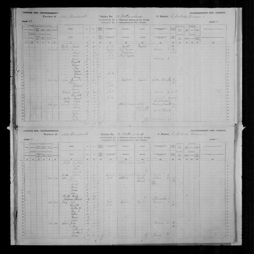 Digitized page of Census of Canada, 1881, Page number 84, for John ALLEN