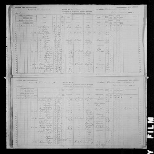 Digitized page of Census of Canada, 1881, Page number 10, for Louise PHELAN
