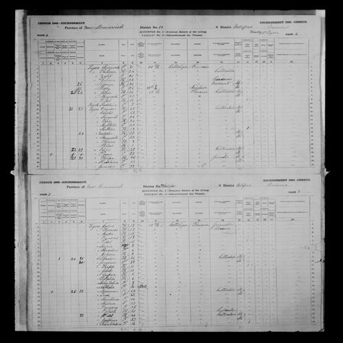 Digitized page of Census of Canada, 1881, Page number 6, for Janvier LEGERE
