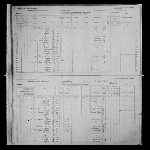 Digitized page of Census of Canada, 1881, Page number 28, for Fabien BRAIN