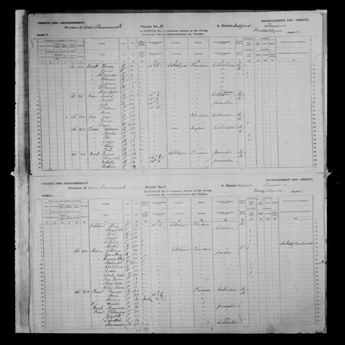 Digitized page of Census of Canada, 1881, Page number 47, for Honore BOURK
