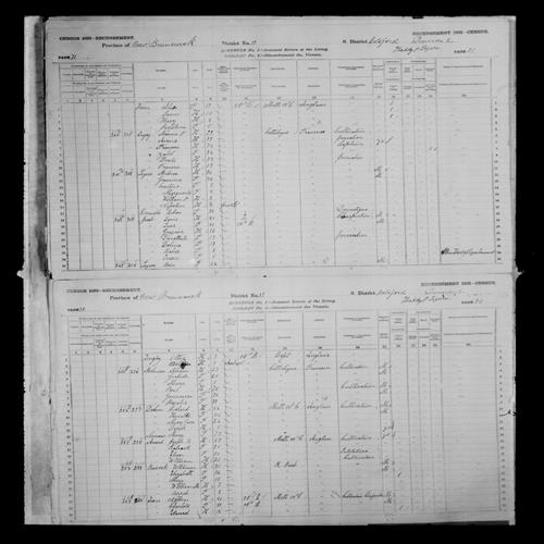 Digitized page of Census of Canada, 1881, Page number 71, for Rose LEGERE