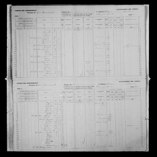Digitized page of Census of Canada, 1881, Page number 39, for Johny LEGER