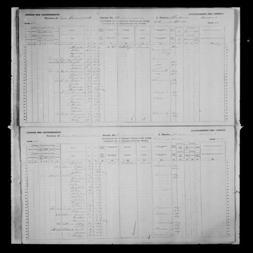 Digitized page of Census of Canada, 1881, Page number 40, for Maxeman BURKE