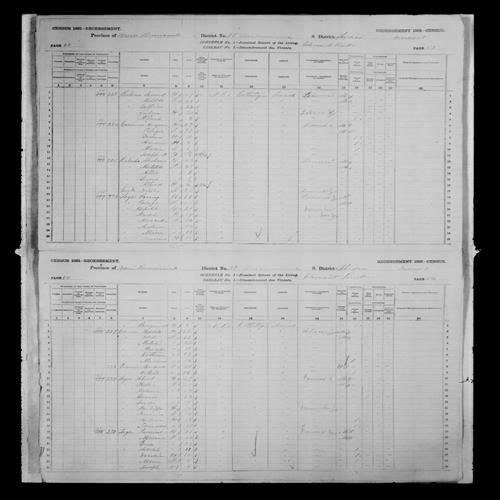 Digitized page of Census of Canada, 1881, Page number 54, for Tausent LEGER