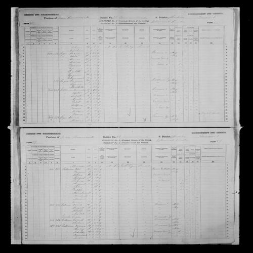 Digitized page of Census of Canada, 1881, Page number 55, for Docite LEGER