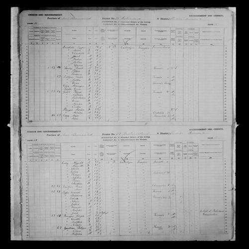 Digitized page of Census of Canada, 1881, Page number 17, for Emanuel LEGER