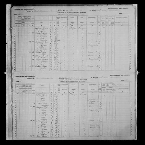 Digitized page of Census of Canada, 1881, Page number 19, for Placide LEBLANC