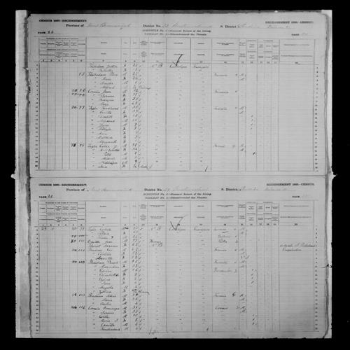 Digitized page of Census of Canada, 1881, Page number 25, for Calixte LEGER