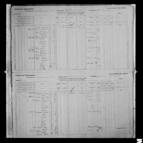 Digitized page of Census of Canada, 1881, Page number 27, for Placide GALANG